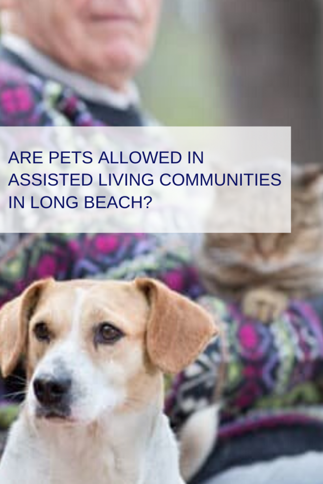Are Pets Allowed In Assisted Living Communities In Long Beach_